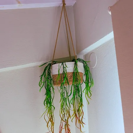 Country house Gardy *